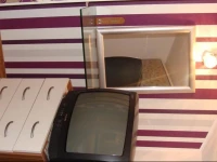 Apartment Viki 