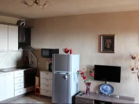 Panoramic Apartment 