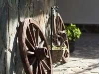 Guest House Mira 