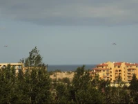 Duplex Penthouse Apartment Lipin 