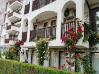 Delfin Apartments 4*