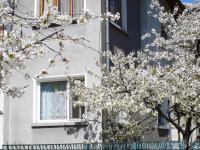 Guest House Minkovi