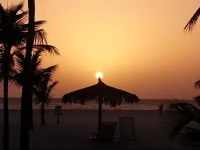 Apart - Studio Cabanas 