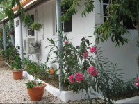 Discover Aruba - Tropical Apartment