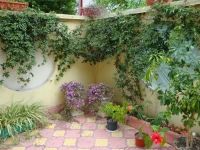 Stela Guest House 