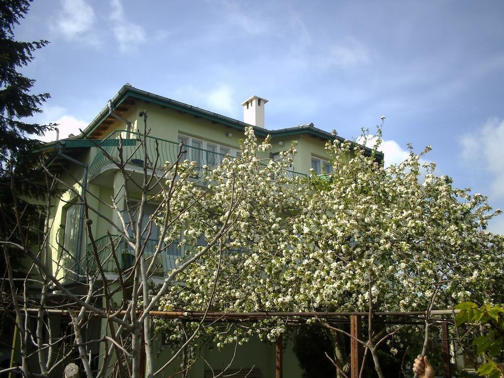 Guest House Slona 