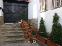 Guest House Divna 