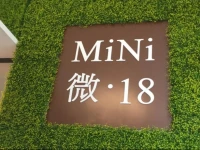 Mini 18 