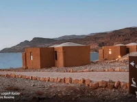 Mujib Chalets 