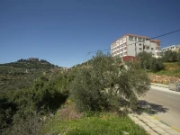 Ajloun Forest Reserve 