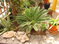 Pousada Montecara 