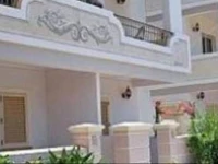 Oasis Palmeira 