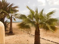 Praia Antonio Sousa 