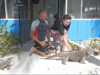 Sunset Cove Little Cayman 3*