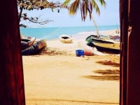 PJs Beach Hotel 3*