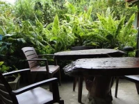 Sinharaja Rest 3*