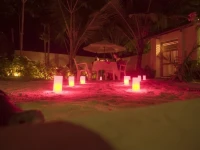 Palm Garden 