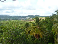 Residence Hoteliere Le Moringa