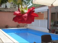 AppleLine Apartments 4*