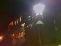 Apartment Borovi 