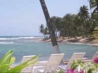 Caribe Playa Beach Hotel 