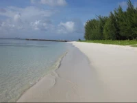 Aquarius Beach Tower 