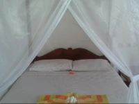 Bamboo Bali 