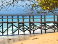 NusaBay Menjangan 