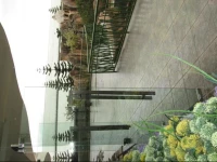 Pohon Inn Hotel 