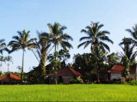 Sanda Butik Villa 