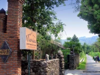 Mettaloka Guest House and Art Space 