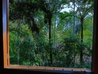 Kaliandra Sejati Eco Resort & Farm 