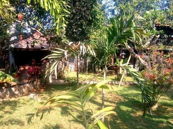 The Alchemist Lodge 