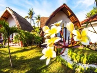 Diversia Diving Club & Bungalows 