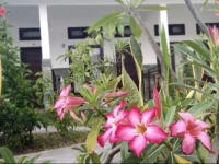 Al maida homestay 