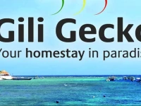 Gili Gecko 