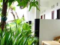 Mango Tree Homestay 