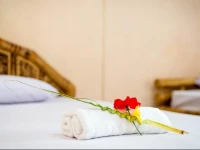 Yellow Coconut Homestay 
