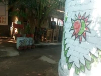 Aloe Vera Bungalows 
