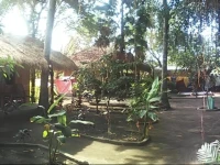 Gecko Backpackers 
