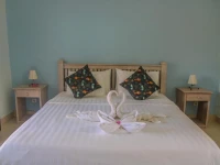 Divine Divers Resort 