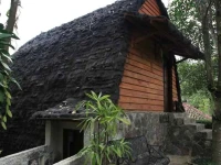 Kampoeng Padi 
