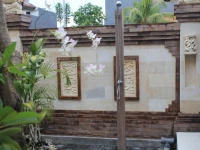 The Kutaya 