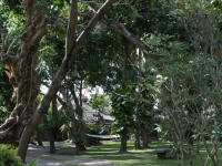 Matahari Bungalow 