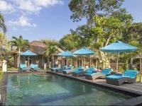 The Palm Grove Villas 