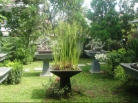 Mansion Asatu 