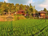 Puri Lumbung 