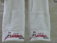 Cardinal Lucky Star Hotel Batam 