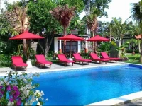 dMell Bali 