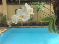 Paradise Villa 